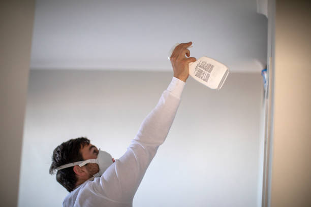 Best Post-Flood Mold Remediation in Ashville, AL