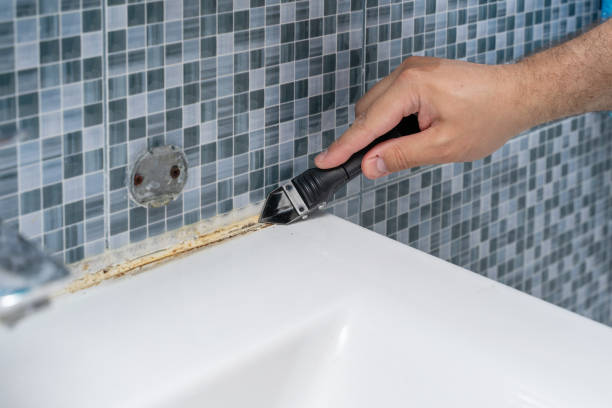  Ashville, AL Mold Removal Pros